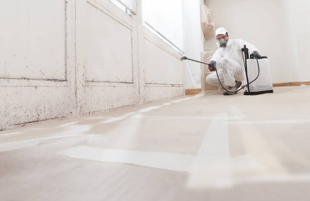 24/7 Emergency Commercial Mold Remediation experts in Lumberton, NC